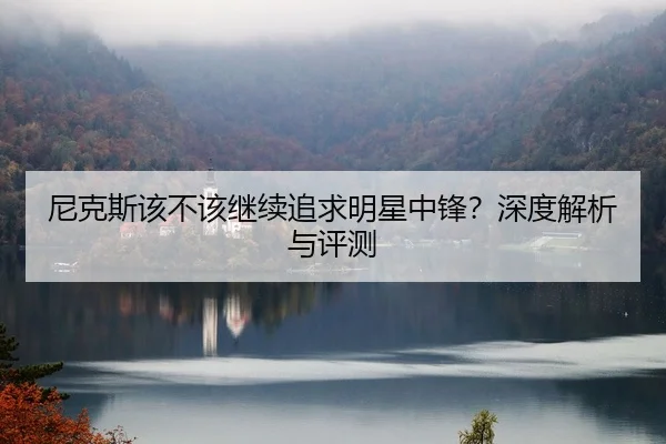 尼克斯该不该继续追求明星中锋？深度解析与评测